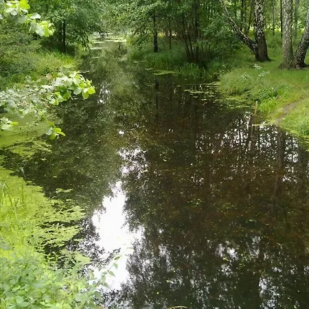 Holzhaus Am See *