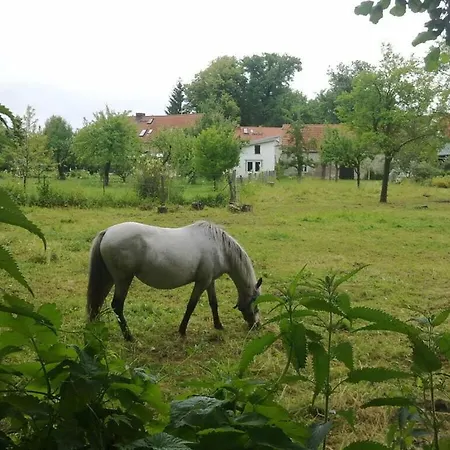 بيت للعطل Holzhaus Am See