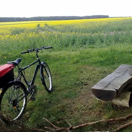 Holzhaus Am See بيت للعطل Königs Wusterhausen